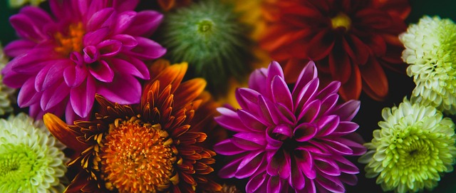 哈利伯顿V 哈利伯顿V