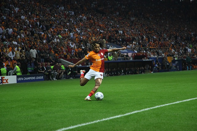 足球爱好者 足球爱好者