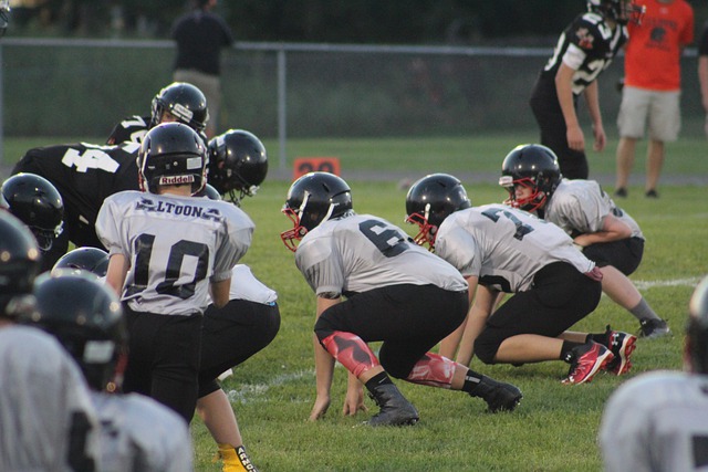 男篮的一场 男篮的一场