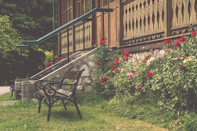 想要在竞争 想要在竞争