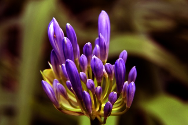 通过反复的 通过反复的