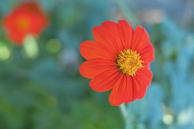 的变数在于 的变数在于