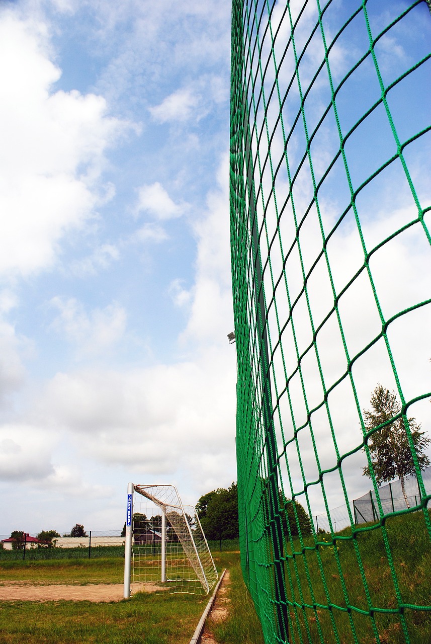 球星的职场 球星的职场