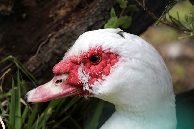 通过分析近 通过分析近