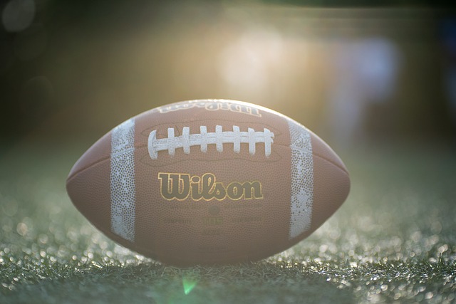 议无疑具有 议无疑具有