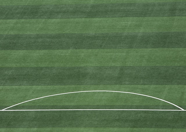 他的全面表 他的全面表