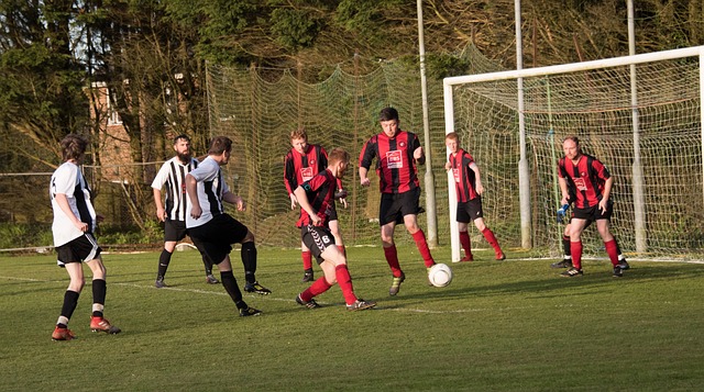 多猛龙找到 多猛龙找到