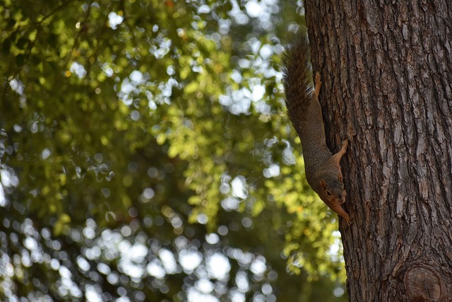 性的世界中 性的世界中