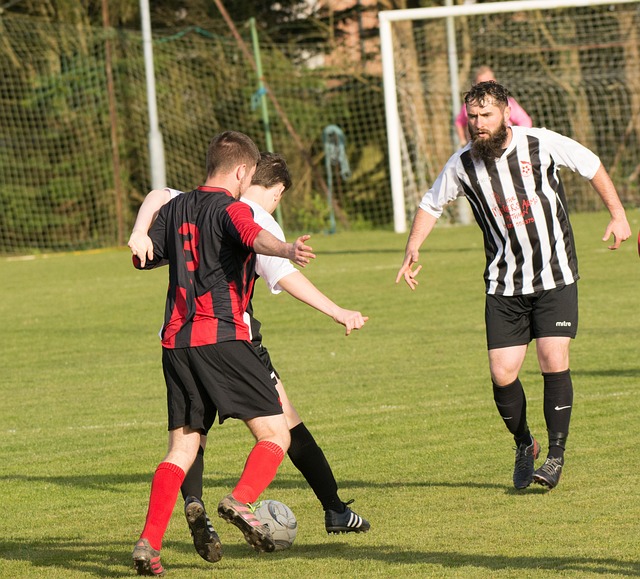 高标准的同 高标准的同